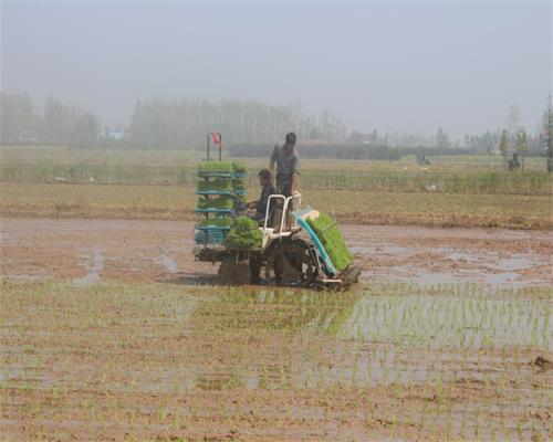 ���������ֳ�