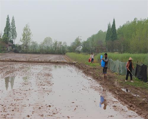 ���ϴ�ͨ�������������촺����������