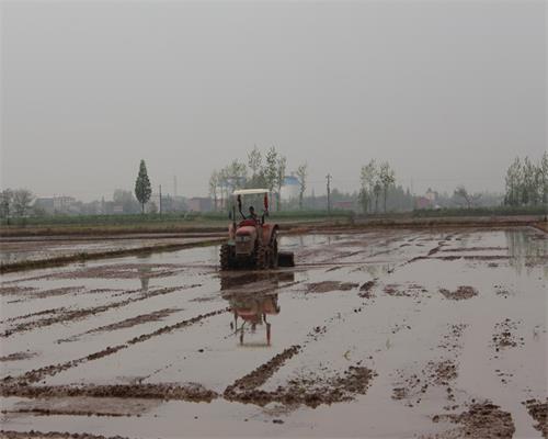 ��е������