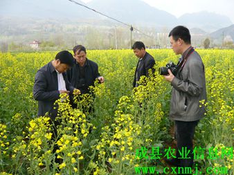 ȫ���Ͳ�ר������ֽ���һ��ݰ�ٸ�����ص����Ͳ������Ͳ������