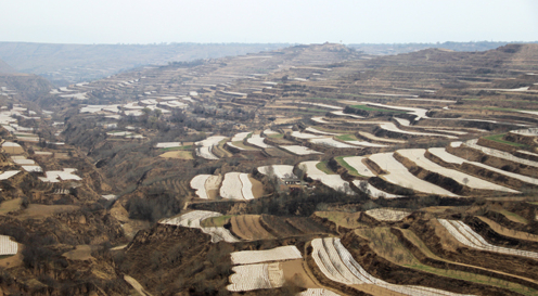 ���������س�����ɺ���ũҵ�ƹ�����