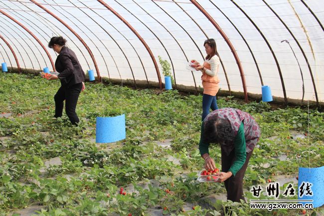 ����������ڽ���ݮ�����˷��ο�