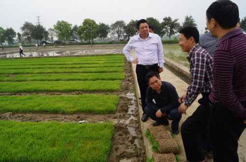 ����ʡũ�����쵼����Ӳ���������