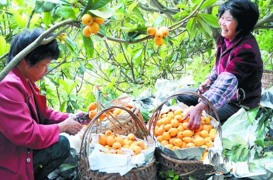 ���������أ����˻���� ũ���ֿ���