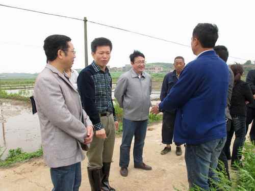 ��������ˮ�����������𴺸������¸߳�