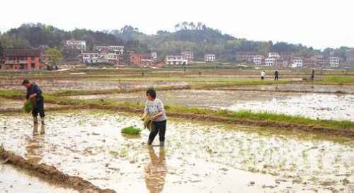 ��Ȫ����������������������