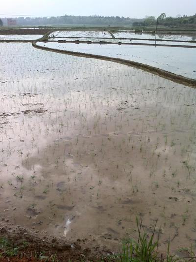 ���϶����ؾ�ͷ�����絾��ʼ����