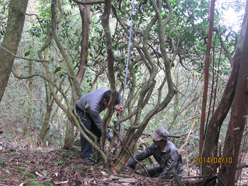 ���������޷�������Ұ����