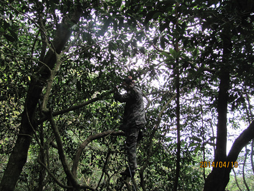 ���������޷�������Ұ����2