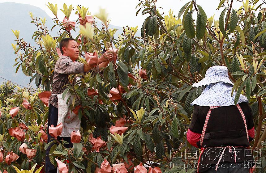 �ؽ��»��� �Ĵ�ʯ�������˲�������