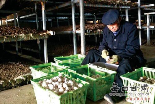 �����������³������׼������ʳ�þ�