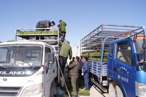 �������Ź����߲����糤��ϲ��