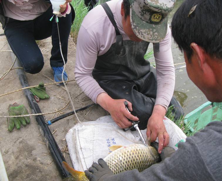 ���ĺ����ض�벢�ټ�ǿ����ˮ�����ַ�������