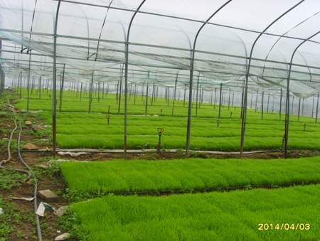 �������ũ��רҵ����������������ھ�