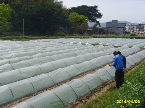 ũ��������Ա���ں�ʵ�������