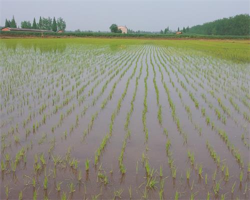 ����������ͨ���������������塱�������ܡ����ƽ�