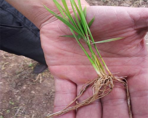 4��9��������Ե�������̬