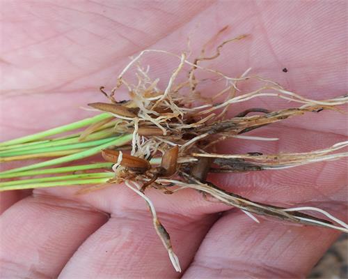 4��5��������Ե�������̬