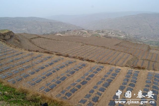 �����ذ���9000��Ķ��԰�����ˡ��ڵ�̺��