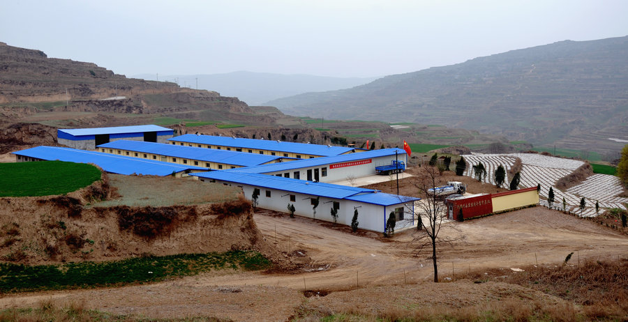 �����żҴ�����ɽ������������ֳ����