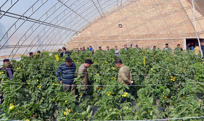 ũ�Ѽ����Ǹ������̲ȡ��ѧϰ��