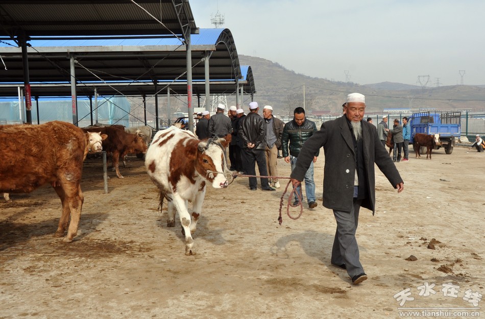 �����żҴ��������׻�ũ��