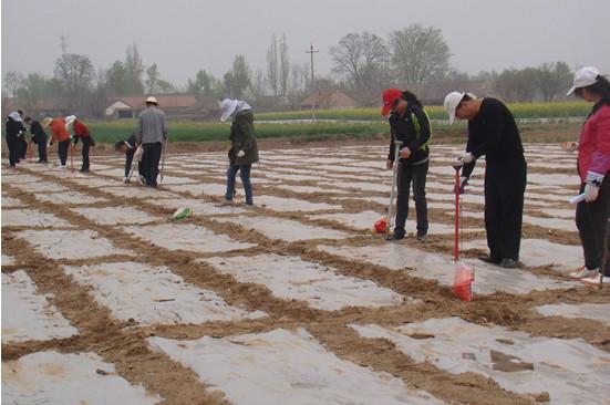 �����ˮ�أ���ץ����ʾ������ʵ�ƽ�ũ���ƹ�