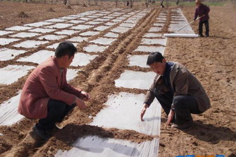 ����������ɺ���ũҵ9���Ķ