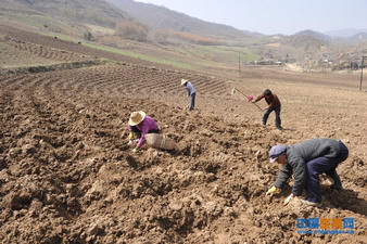 �������ؽ���ʾ����ֲ���ʴ��5000��Ķ