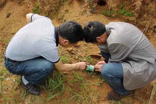 ���������ش���֮�� ����Ա�뻧ָ��æ