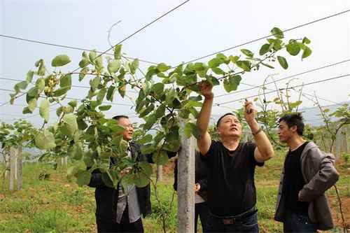 ������Ա��⨺�����������ָ��