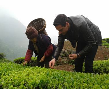 ���ϣ��¹����̿���ʯ����̬�л���