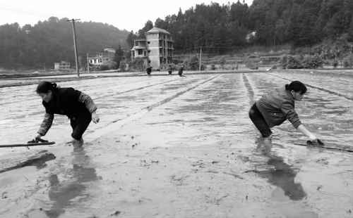 ����������ũ��Сʱ���������󻧲��絾