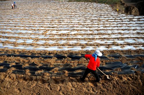 ����ʡ¤���أ���Ĥ�̾ͺ�ܫ�ϵġ�ϣ�����̡�