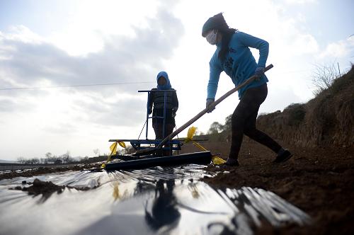 ����ʡ¤���أ���Ĥ�̾ͺ�ܫ�ϵġ�ϣ�����̡�2