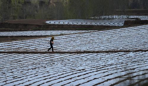 ����ʡ¤���أ���Ĥ�̾ͺ�ܫ�ϵġ�ϣ�����̡�3