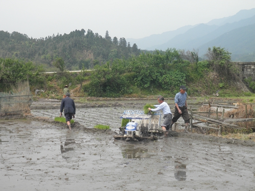 �������֣��ƹ��������������ũ��ӭ