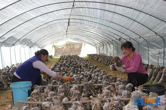 ���������ش����㹽��ʼ½����ժ