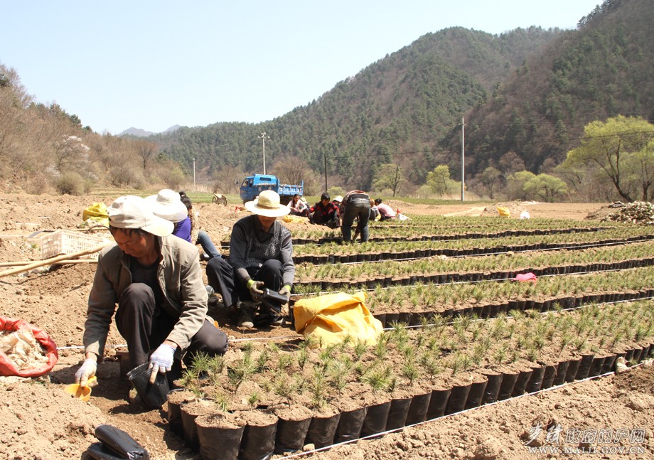 ������ˮ�������������ɫ��ҵ��չ���