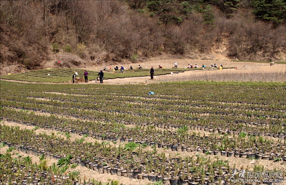 ������ˮ�������������ɫ��ҵ��չ���2