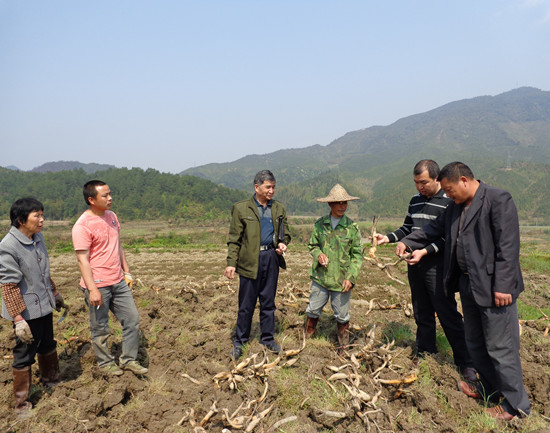 ���������Ϫ�������뻧ָ����������