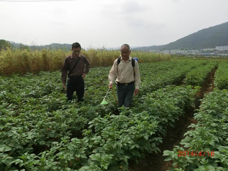 ������Ϫ��ָ��ũ���������������߲�