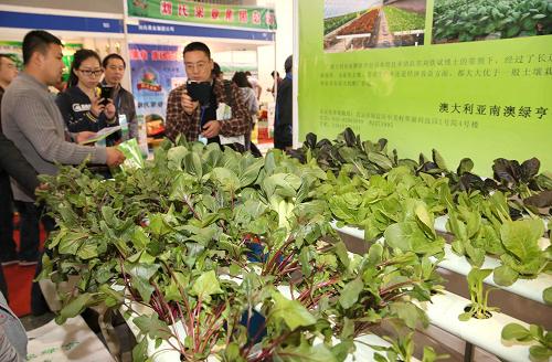 ������й������ִ�ũҵ�������ھ���Ļ