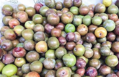 �������ţ���������ˮ����������