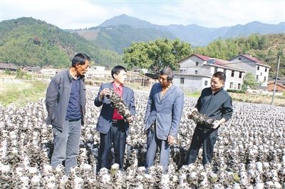 �����ֳ��أ�����ũ������ ָ����ũ����