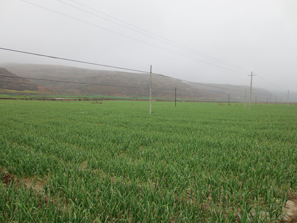 ������ˮ��������ԭ�Ĳ˳�������