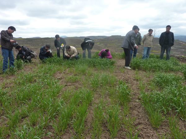 ����ũ�ֿƼ���ѧ���������ڿ������ʹ�С�����ⲡԴͷ��������