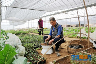 ��������߲���ֲ���1.2���Ķ