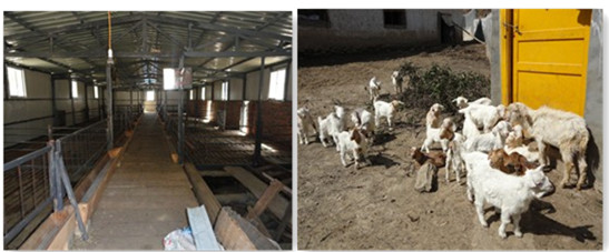 ���࿵��������ҽ�ֻ�ͬ����ҵ�֡������ּ������������������ֳ��Ŀʵʩ���