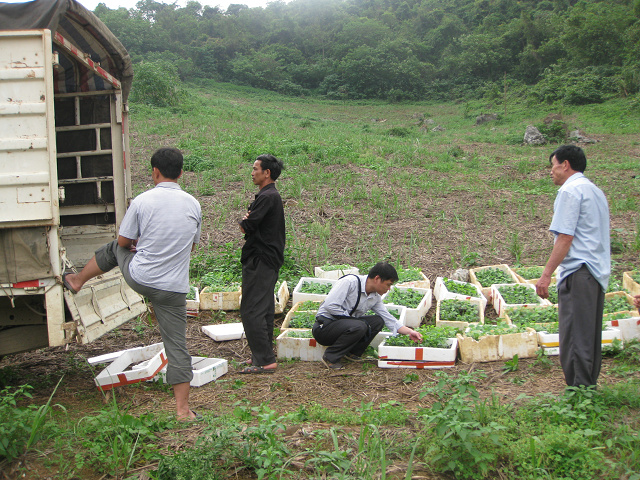 ����ƾ���ƹ�������������